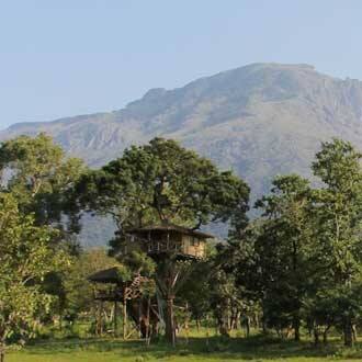 Inn The Wild, Masinagudi 2